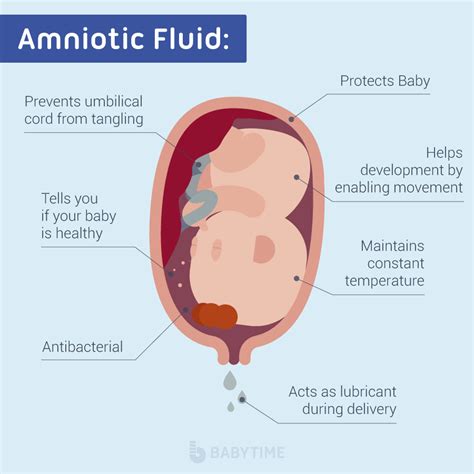 small leak of amniotic fluid|Leaking Amniotic Fluid: Signs, Causes, and。